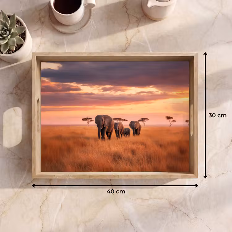 Tray - Group of elephants - Open plain - Sun — 8
