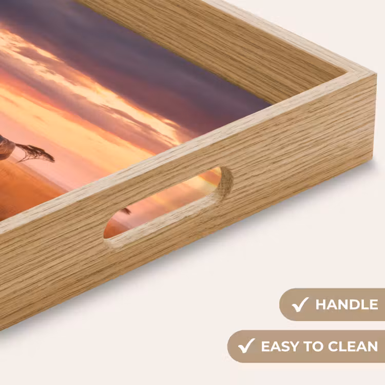 Tray - Group of elephants - Open plain - Sun — 9