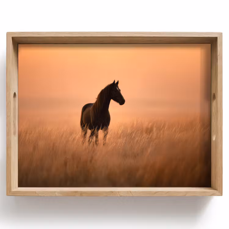 Tray - Horse - Lawn - Sunset — 1