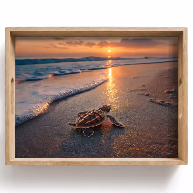 Tray - Turtle - beach - Sunset — 1