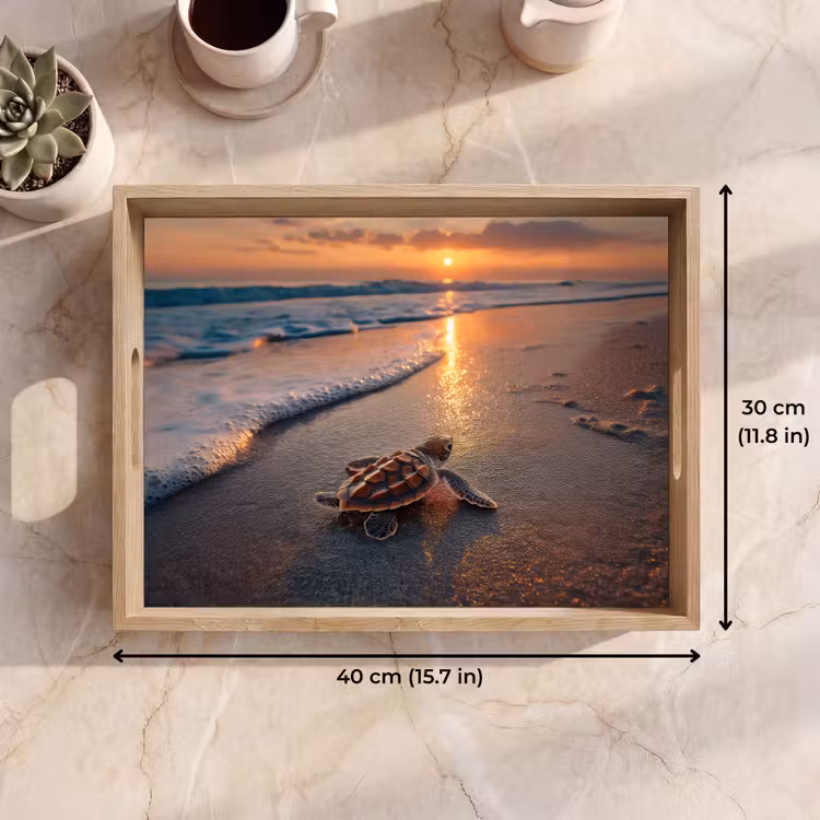 Tray - Turtle - beach - Sunset — 7