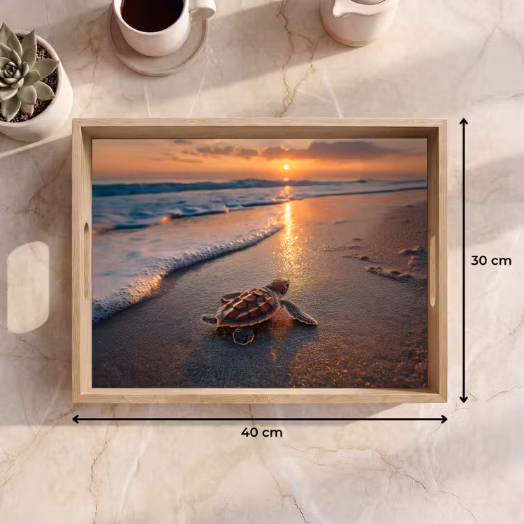 Tray - Turtle - beach - Sunset — 8