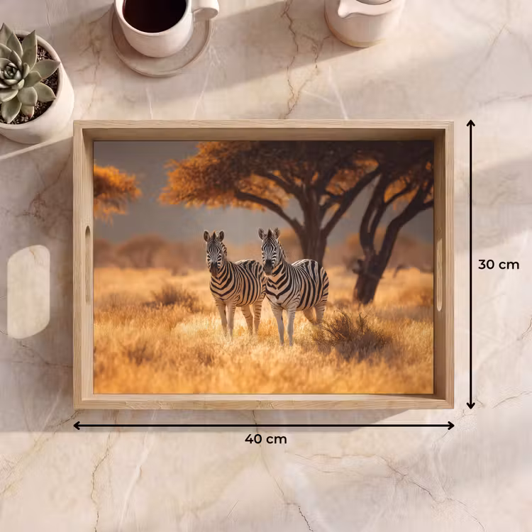 Tray - Zebras - Savannah landscape - Grass — 8