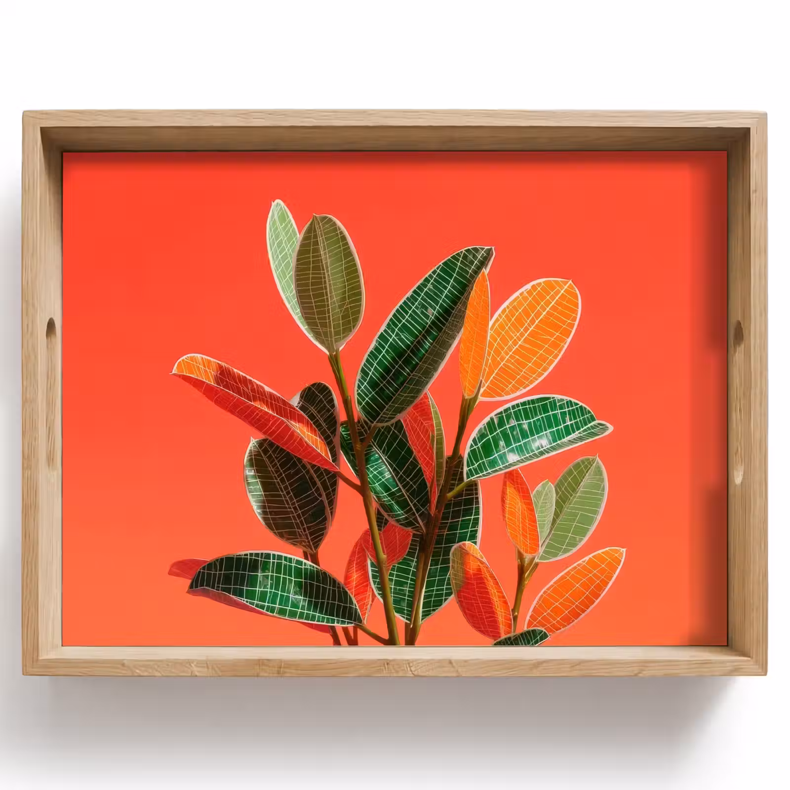 Tray - Leaves - Veins - Orange - Texture — 1