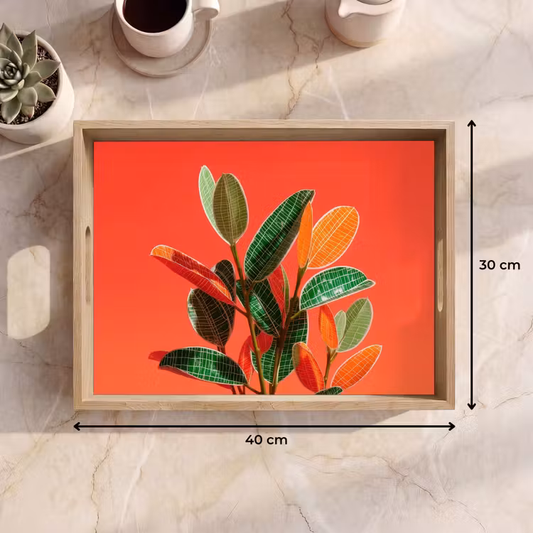 Tray - Leaves - Veins - Orange - Texture — 8