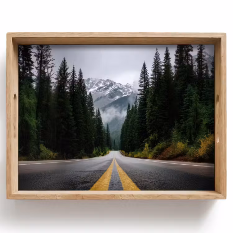 Tray - Spruce forest - Road - Mountains - Snow — 1