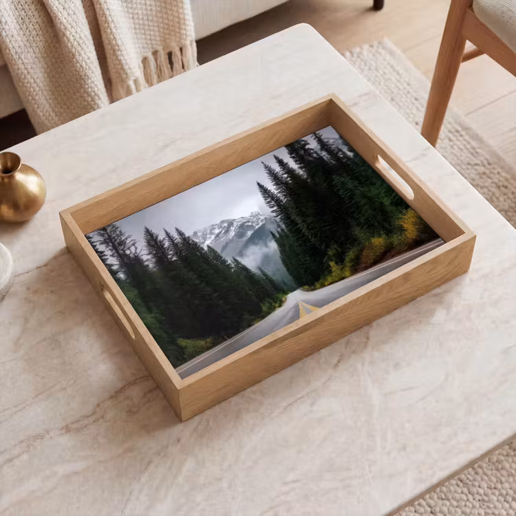Tray - Spruce forest - Road - Mountains - Snow — 2