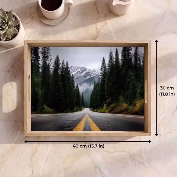 Tray - Spruce forest - Road - Mountains - Snow — 7