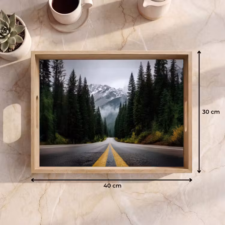 Tray - Spruce forest - Road - Mountains - Snow — 8