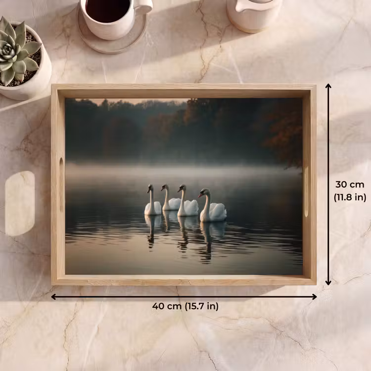 Tray - Swans - White - Water - Fog — 7