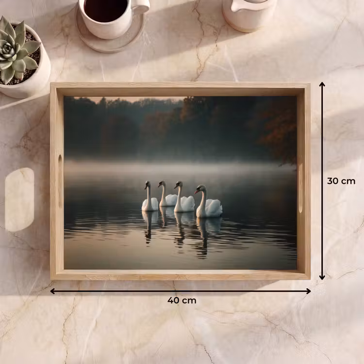 Tray - Swans - White - Water - Fog — 8