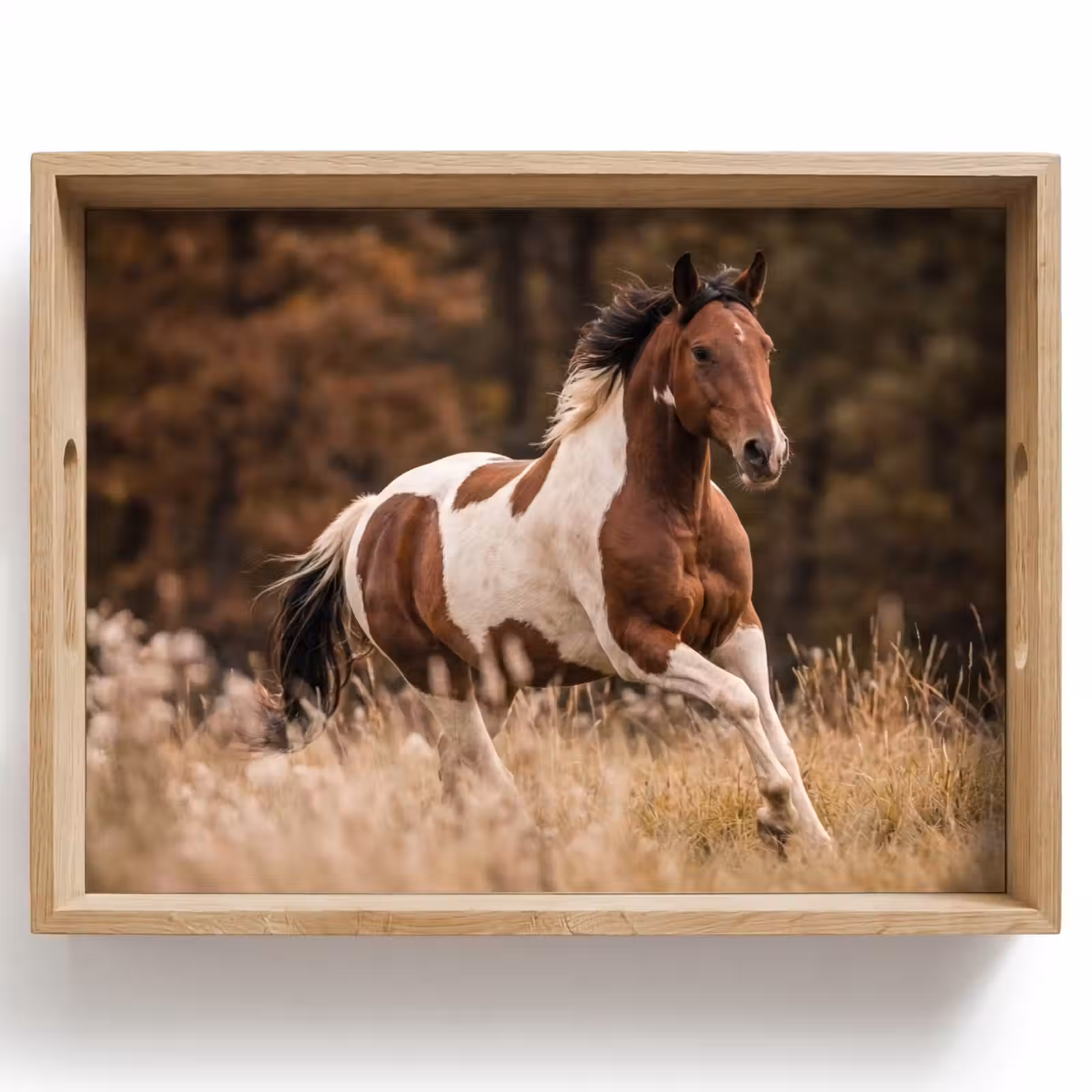 Tray - Horse - Brown - Grass — 1