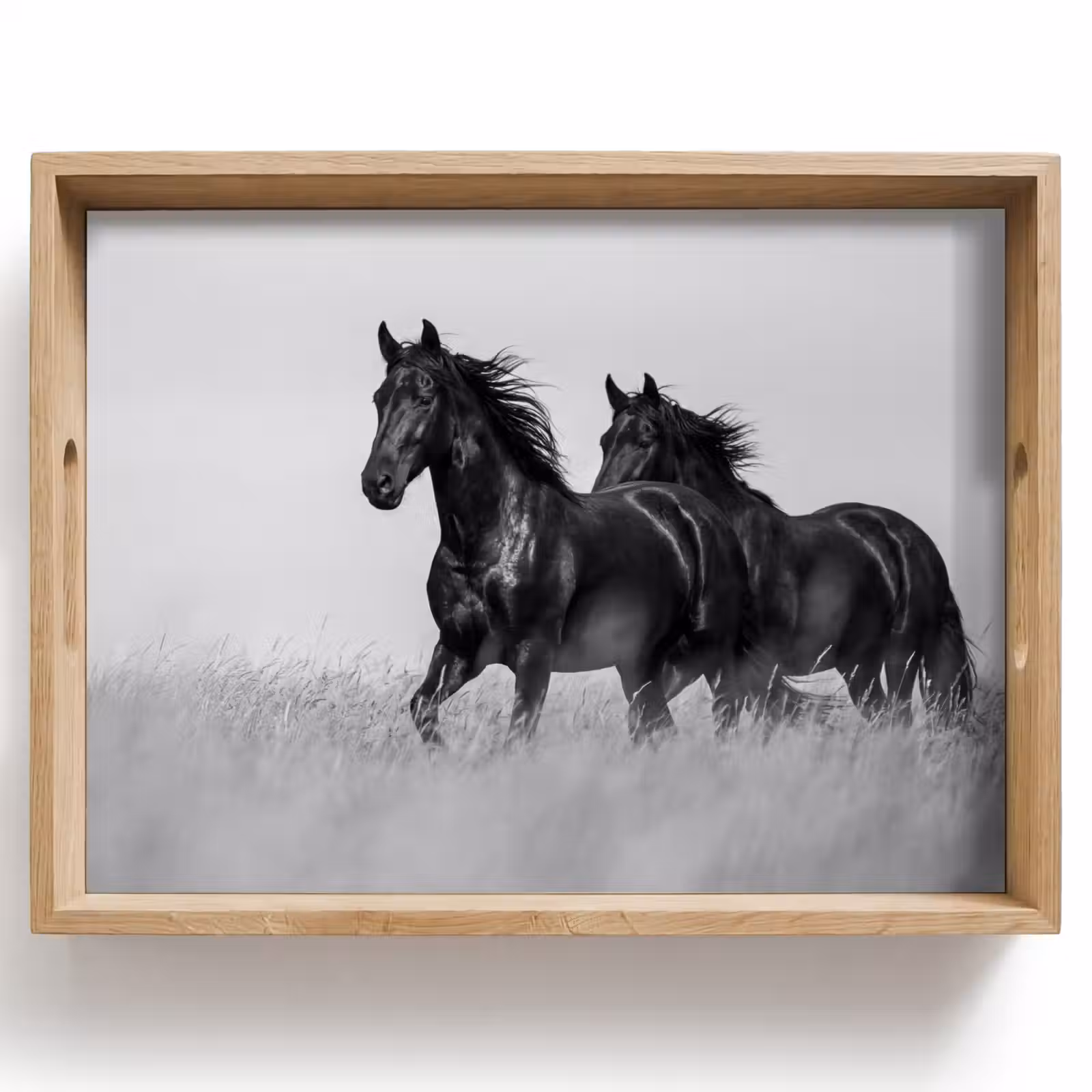 Tray - Horses - Grass - Black - White — 1