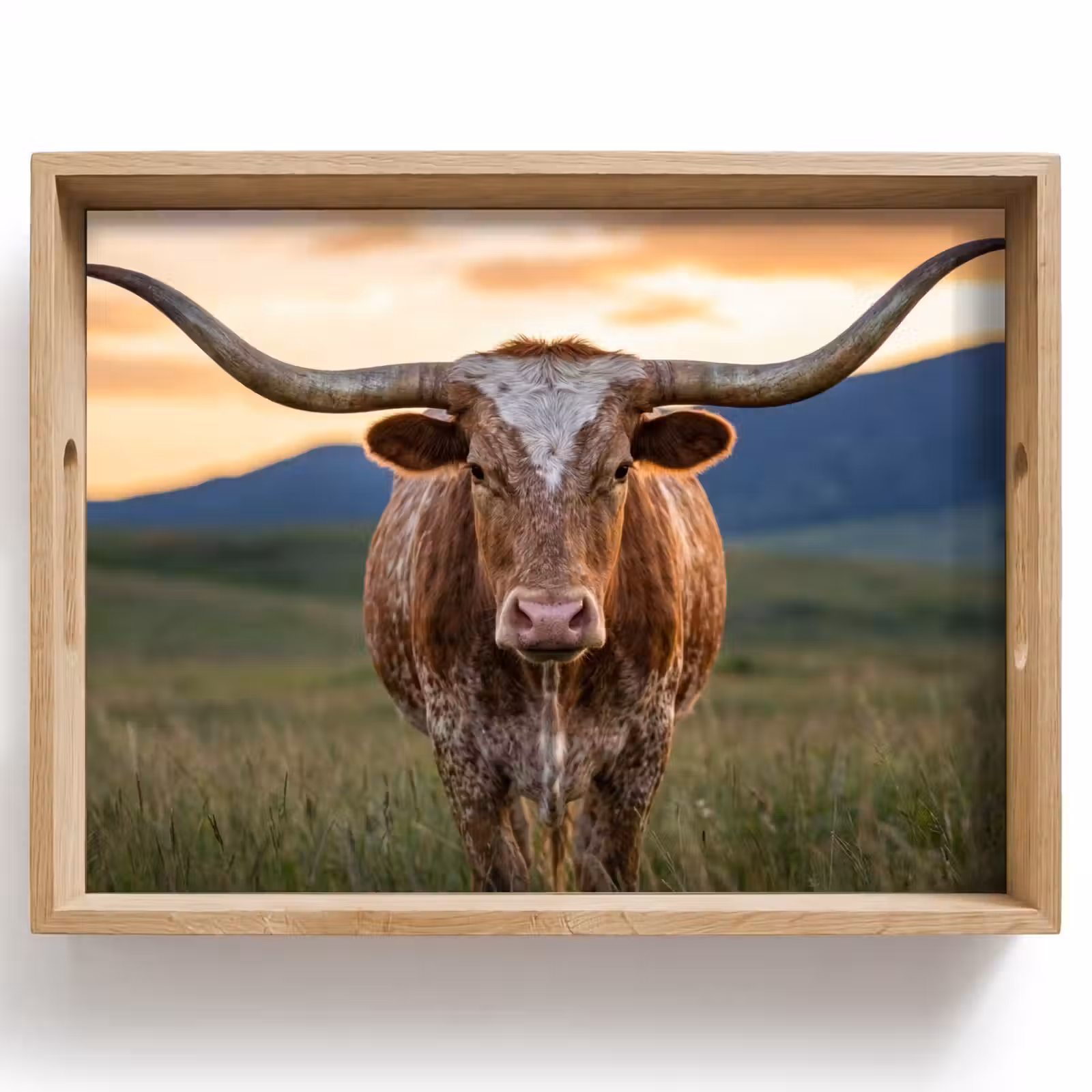 Tray - Longhorn - Landscape - Sunset — 1