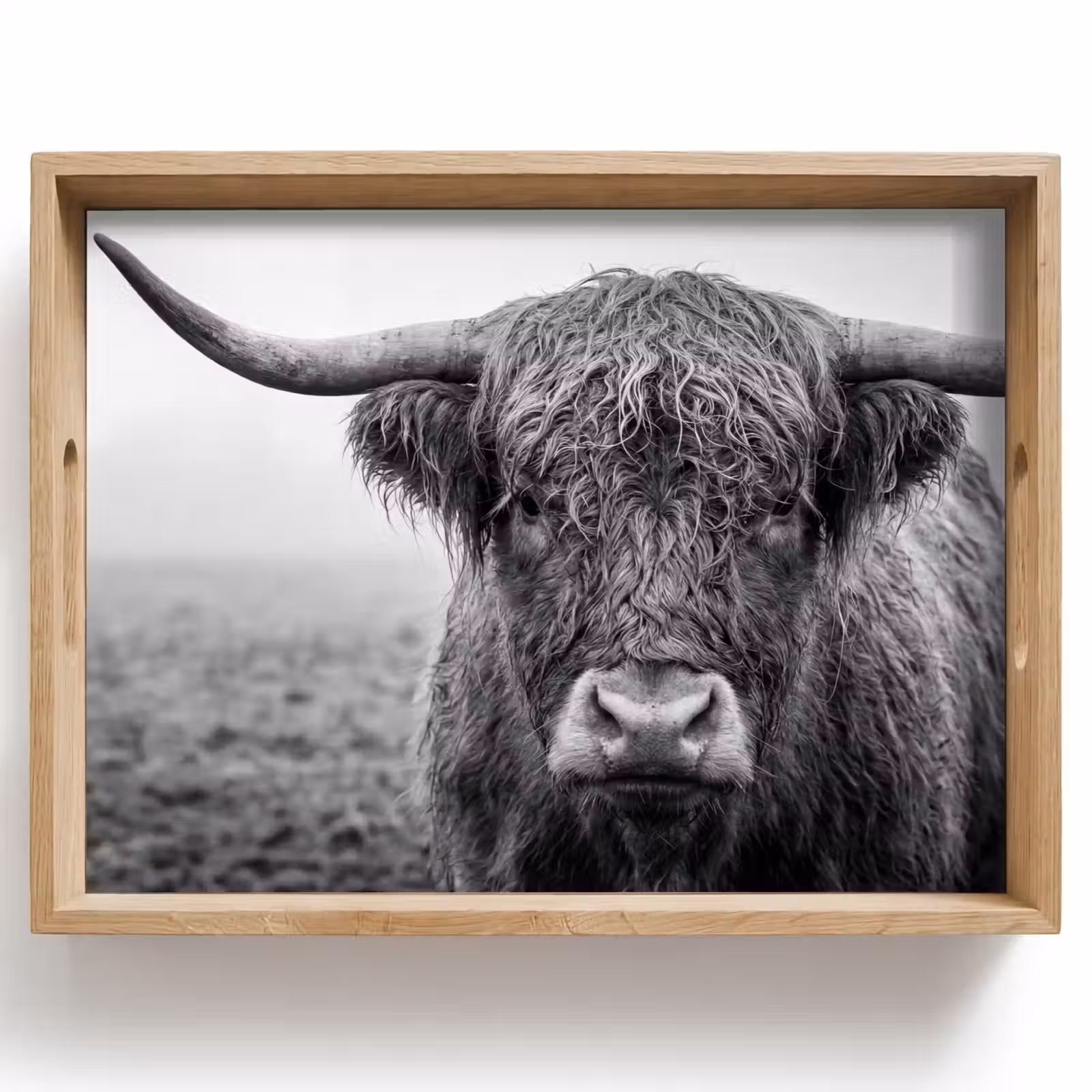 Tray - Scottish highlander - Black - White - Grass — 1