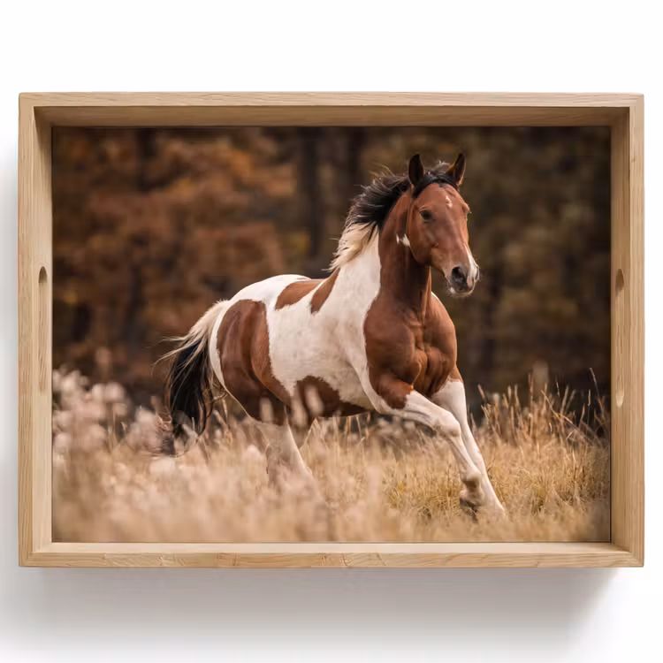 Tray - Horse - Brown - Grass — 1