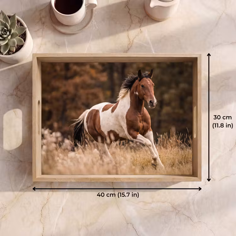 Tray - Horse - Brown - Grass — 7