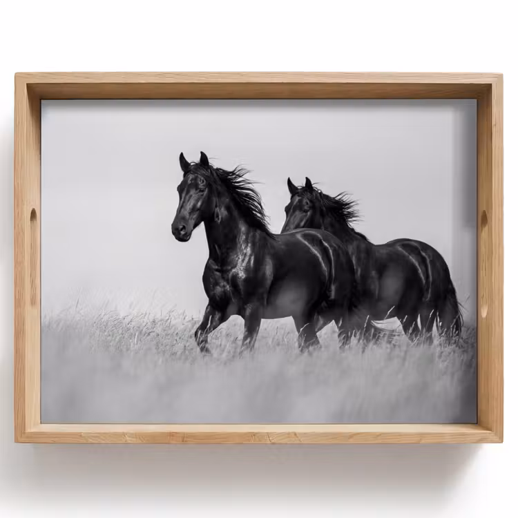 Tray - Horses - Grass - Black - White — 1