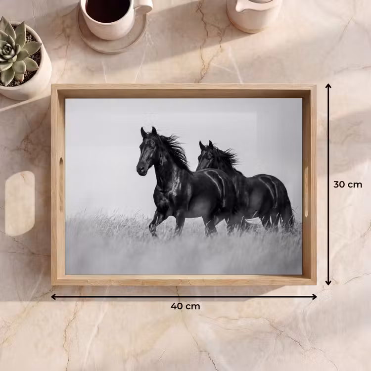Tray - Horses - Grass - Black - White — 8
