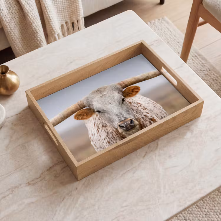 Tray - Longhorn - Grass Field - Animal — 2