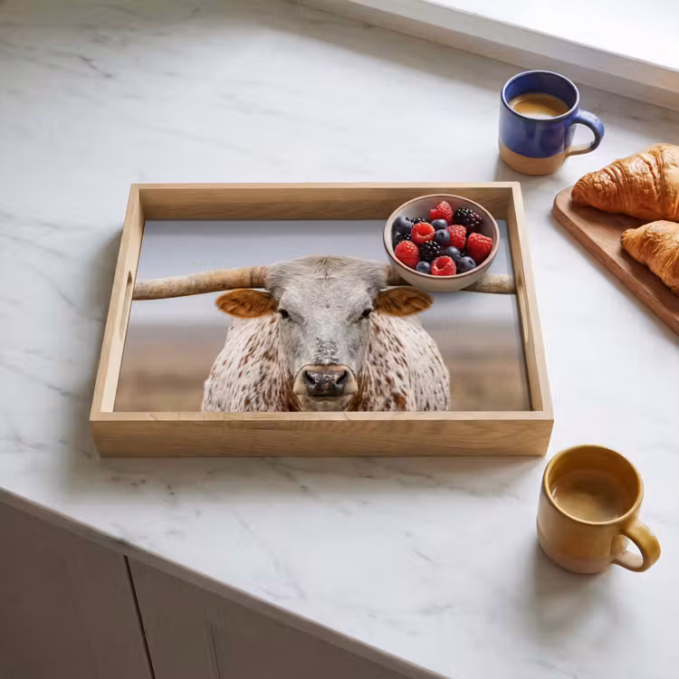 Tray - Longhorn - Grass Field - Animal — 3