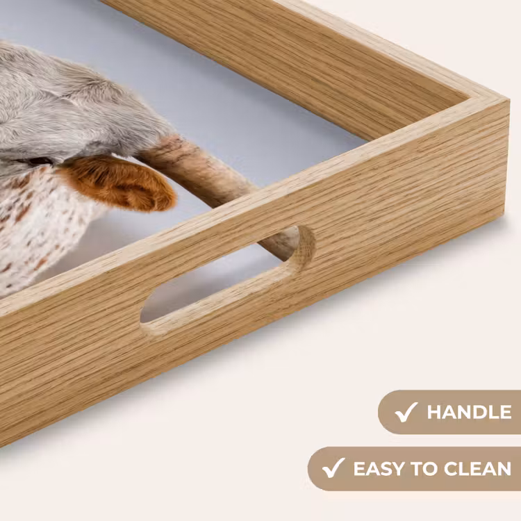 Tray - Longhorn - Grass Field - Animal — 9