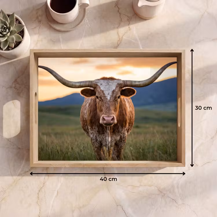 Tray - Longhorn - Landscape - Sunset — 8