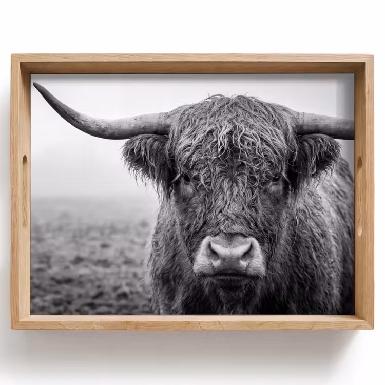 Tray - Scottish highlander - Black - White - Grass — 1