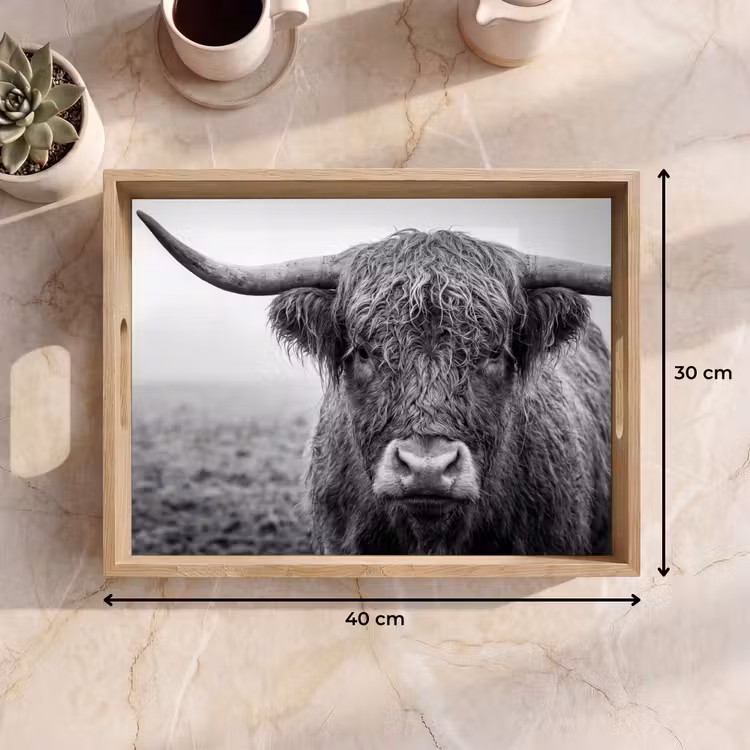 Tray - Scottish highlander - Black - White - Grass — 8