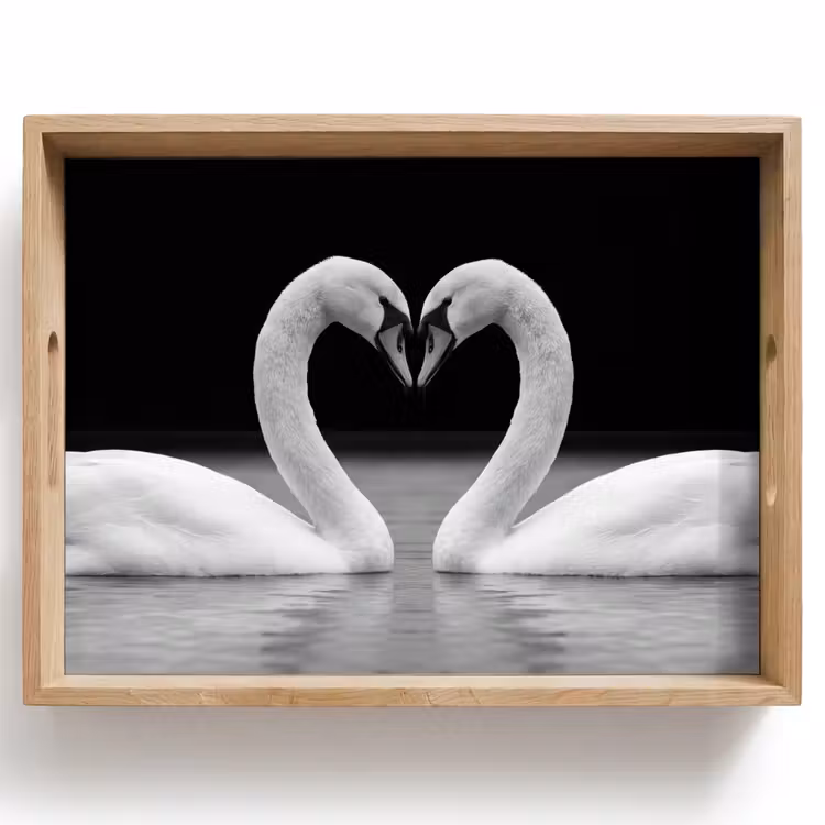 Tray - Swans - Heart - Black - White — 1