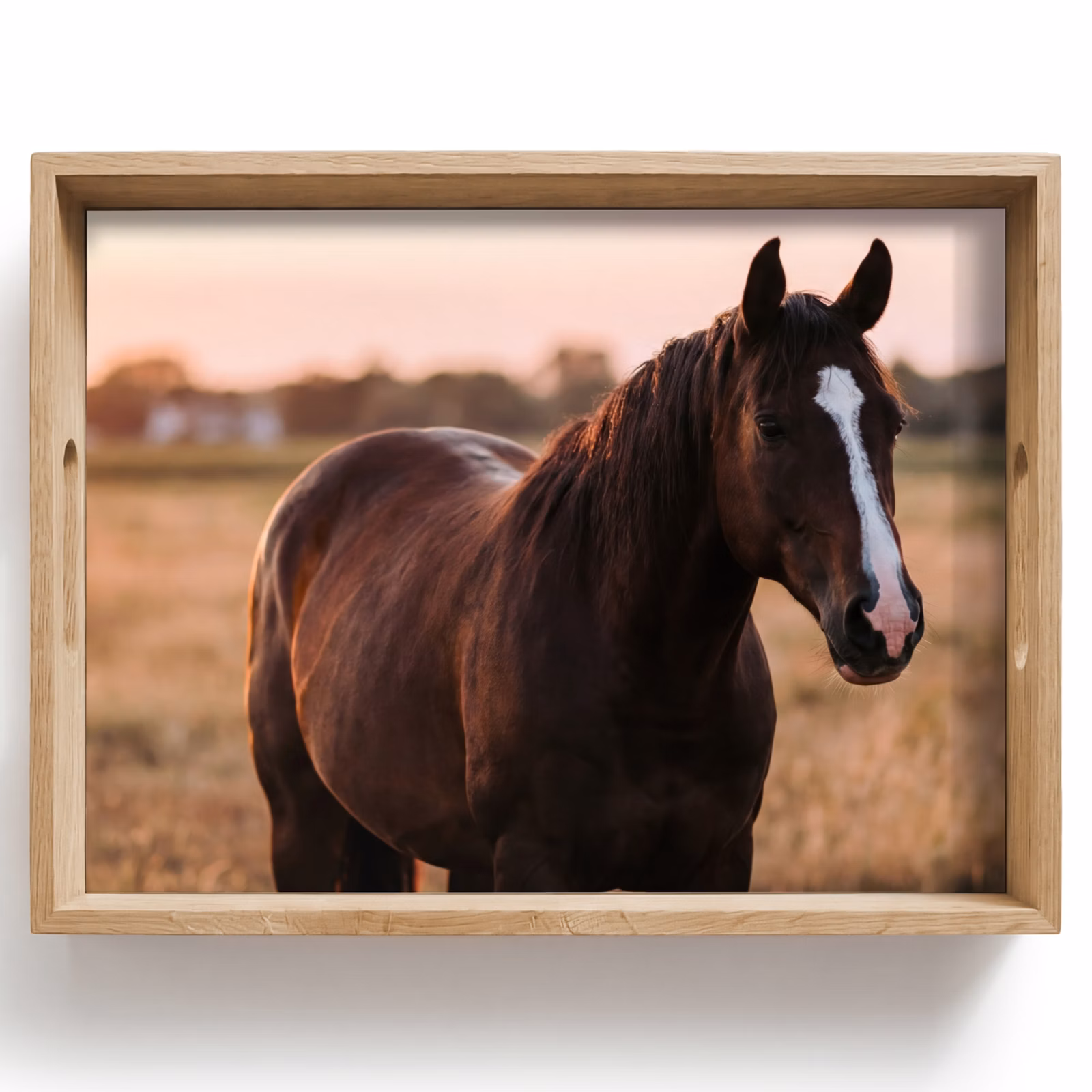 Tray - Horse - Sunset - Brown — 1