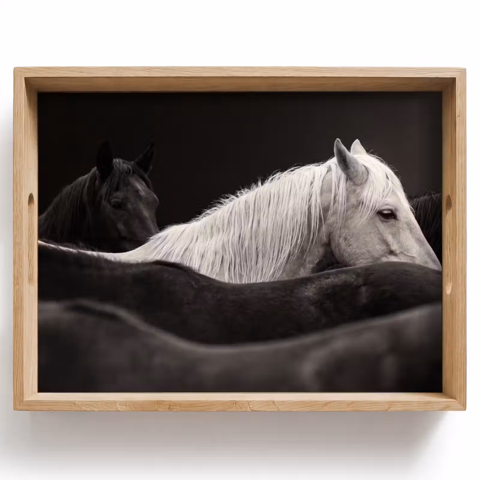Tray - Horses - Black - White - Herd — 1
