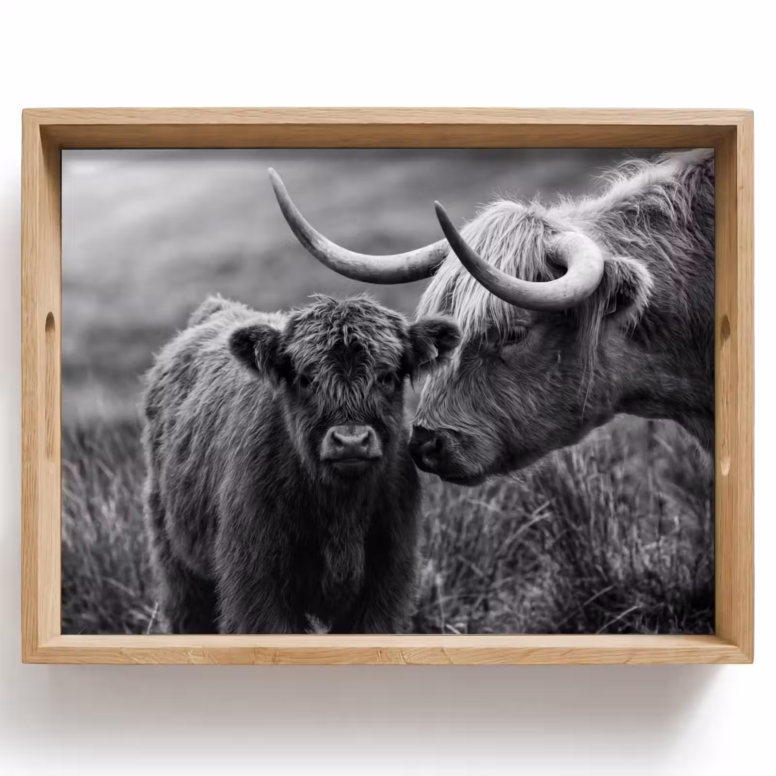 Tray - Scottish highlander - Calf - Black - White — 1