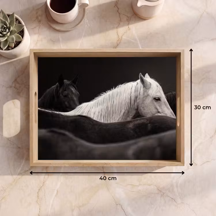 Tray - Horses - Black - White - Herd — 8