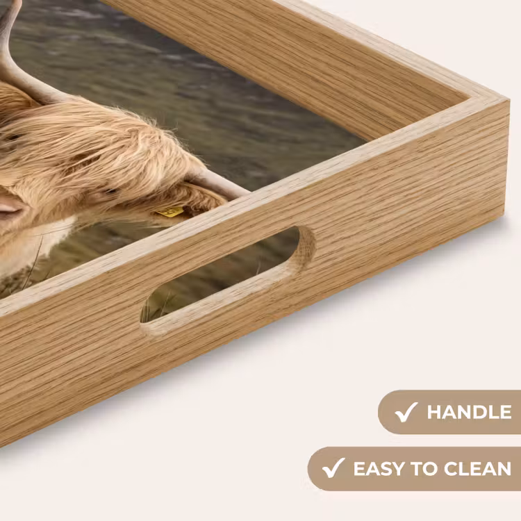 Tray - Scotch highlander - Mountains - Grass field — 9