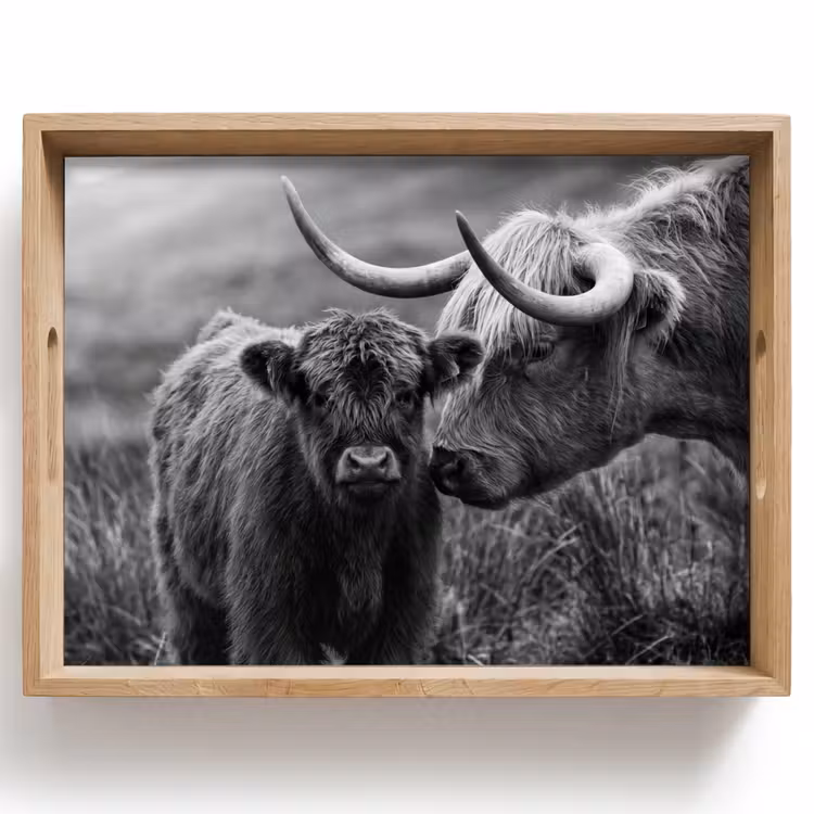 Tray - Scottish highlander - Calf - Black - White — 1