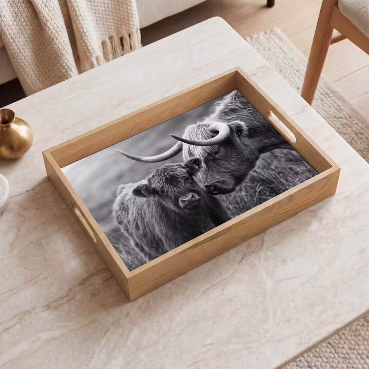 Tray - Scottish highlander - Calf - Black - White — 2