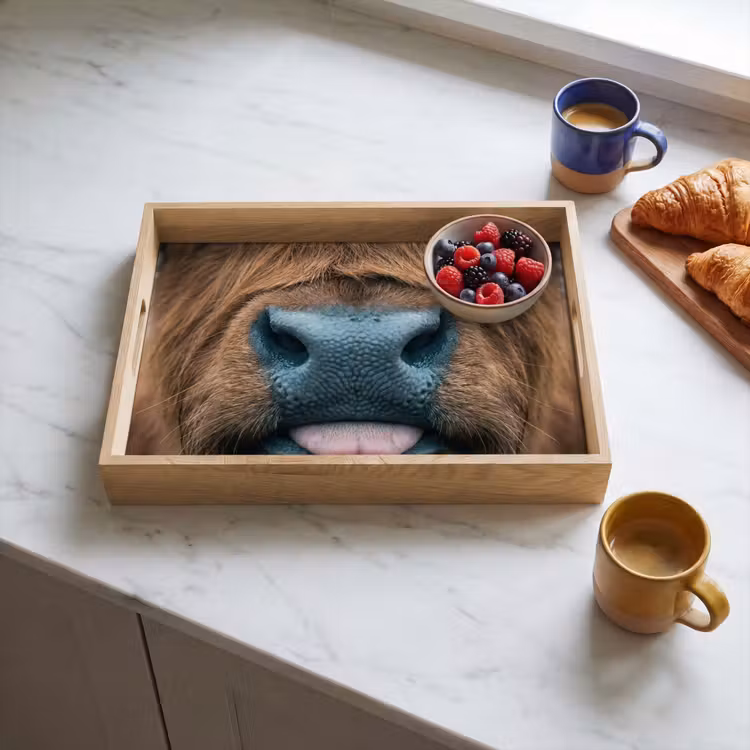 Tray - Scottish highlander - Nose - Brown — 3