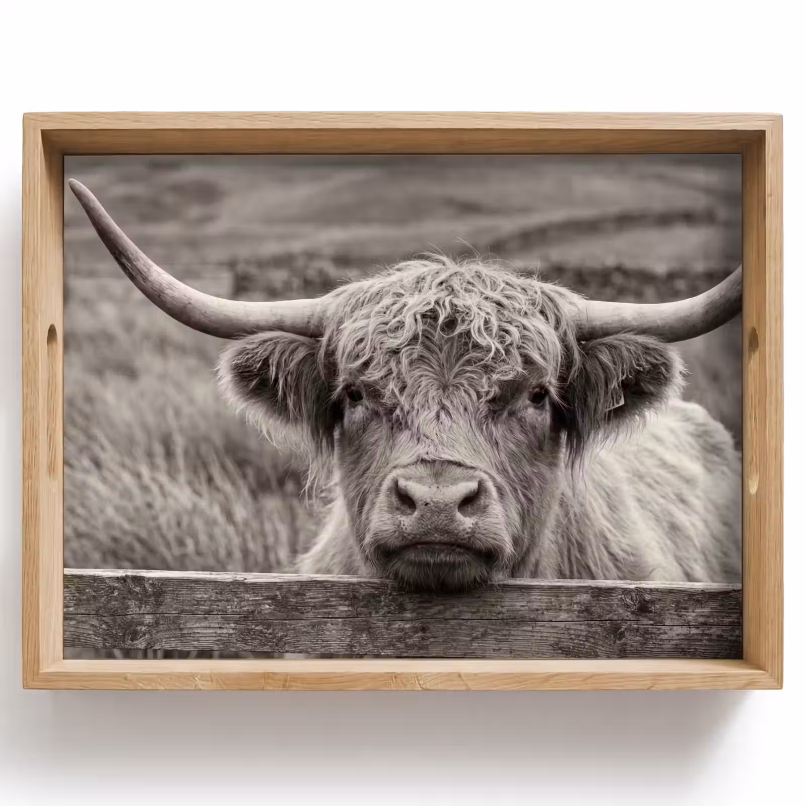 Tray - Scottish Highlander - Black - White - Wood — 1