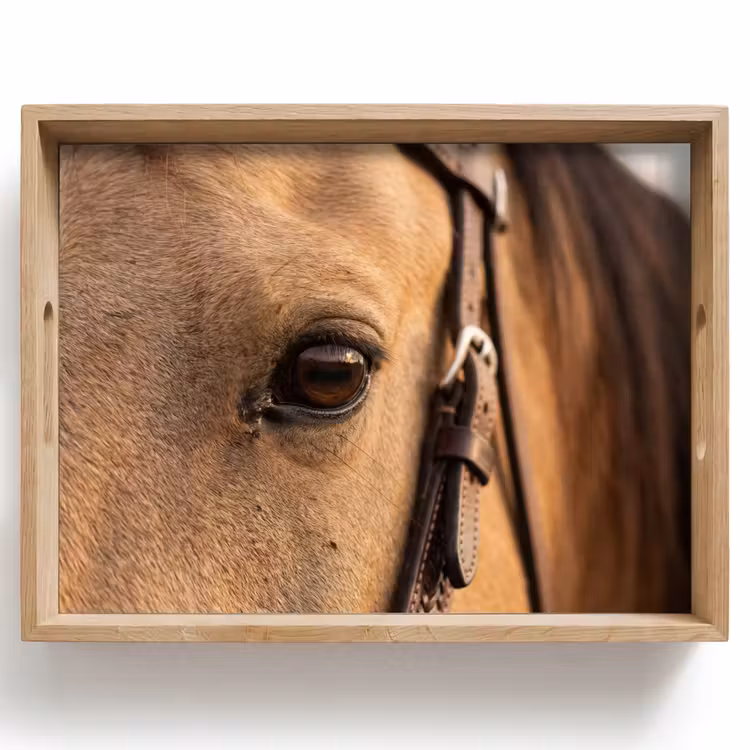 Tray - Horse - Eye - Brown — 1