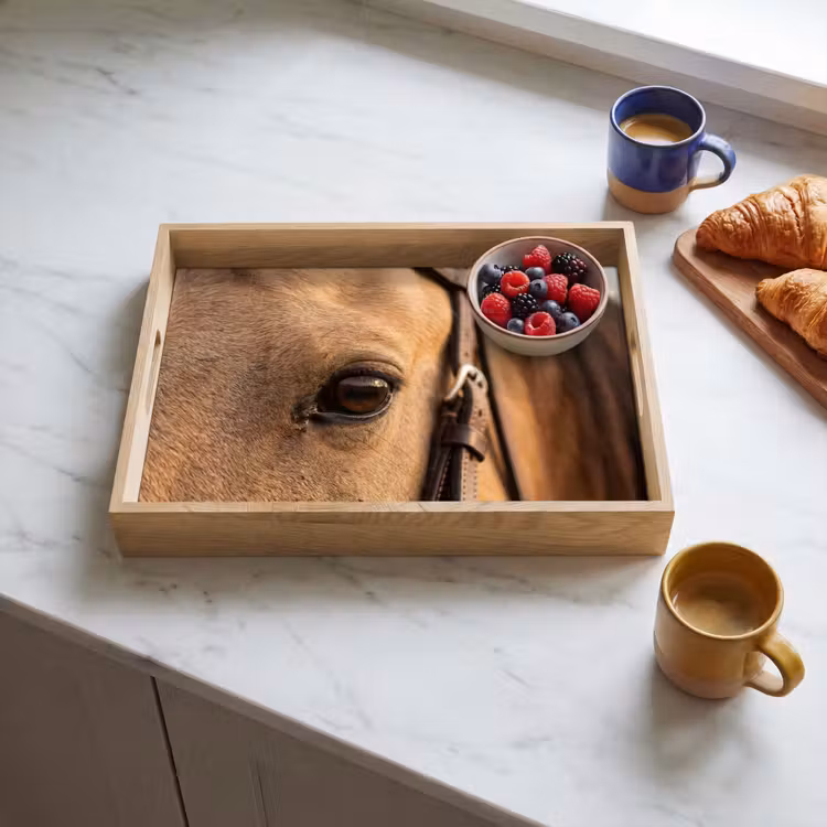 Tray - Horse - Eye - Brown — 3