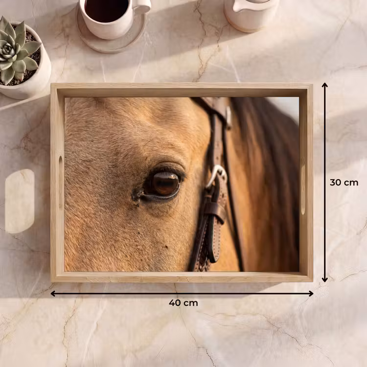 Tray - Horse - Eye - Brown — 8