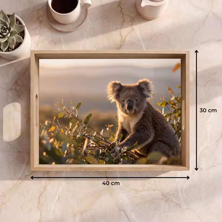 Tray - Koala - Leaves - Morning light — 8