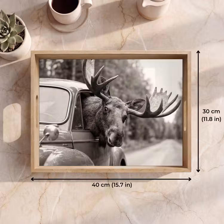 Tray - Moose - Car - Antlers - Black - White — 7