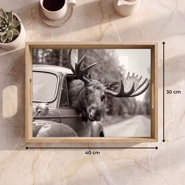 Tray - Moose - Car - Antlers - Black - White — 8