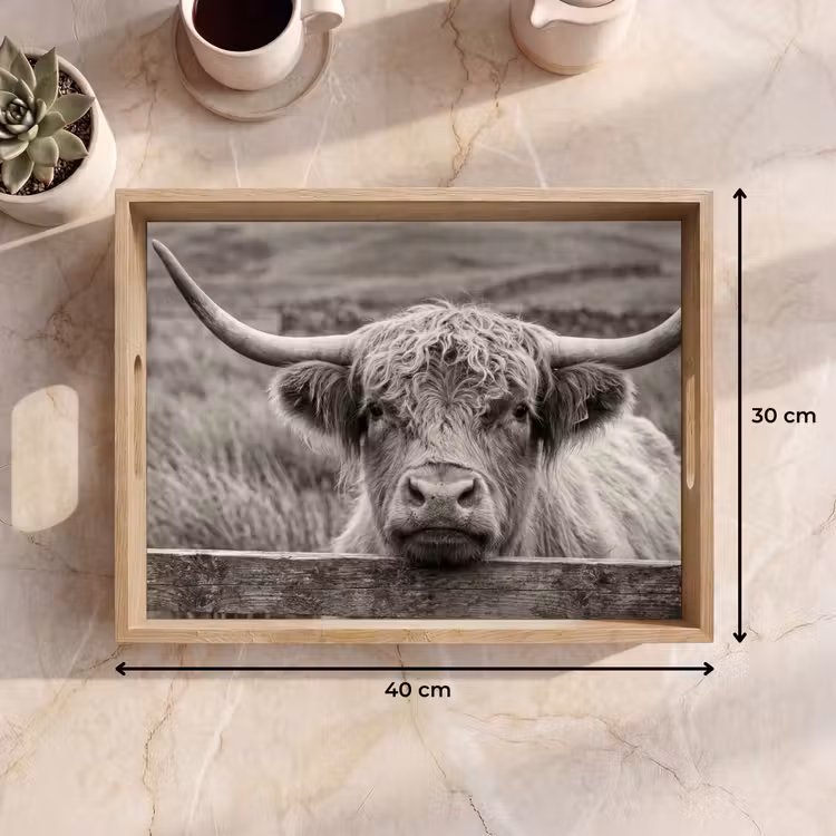Tray - Scottish Highlander - Black - White - Wood — 8
