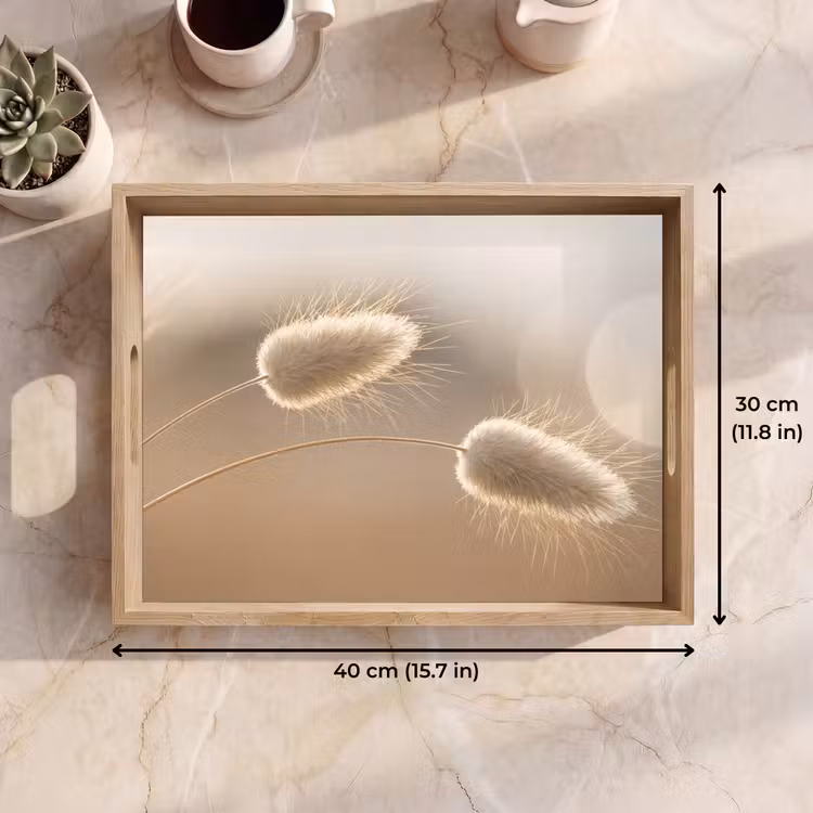 Tray - Haze tail grass - Grain hairs - Sunlight — 7