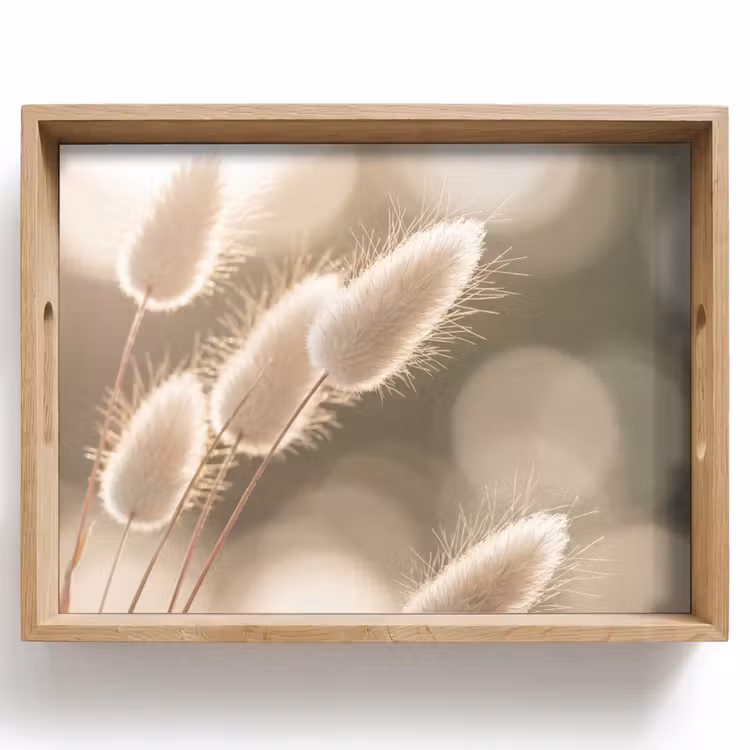 Tray - Hazetail Grass - White - Sunlight — 1