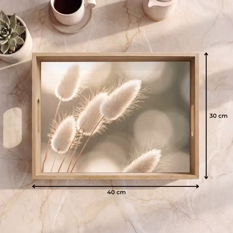 Tray - Hazetail Grass - White - Sunlight — 8