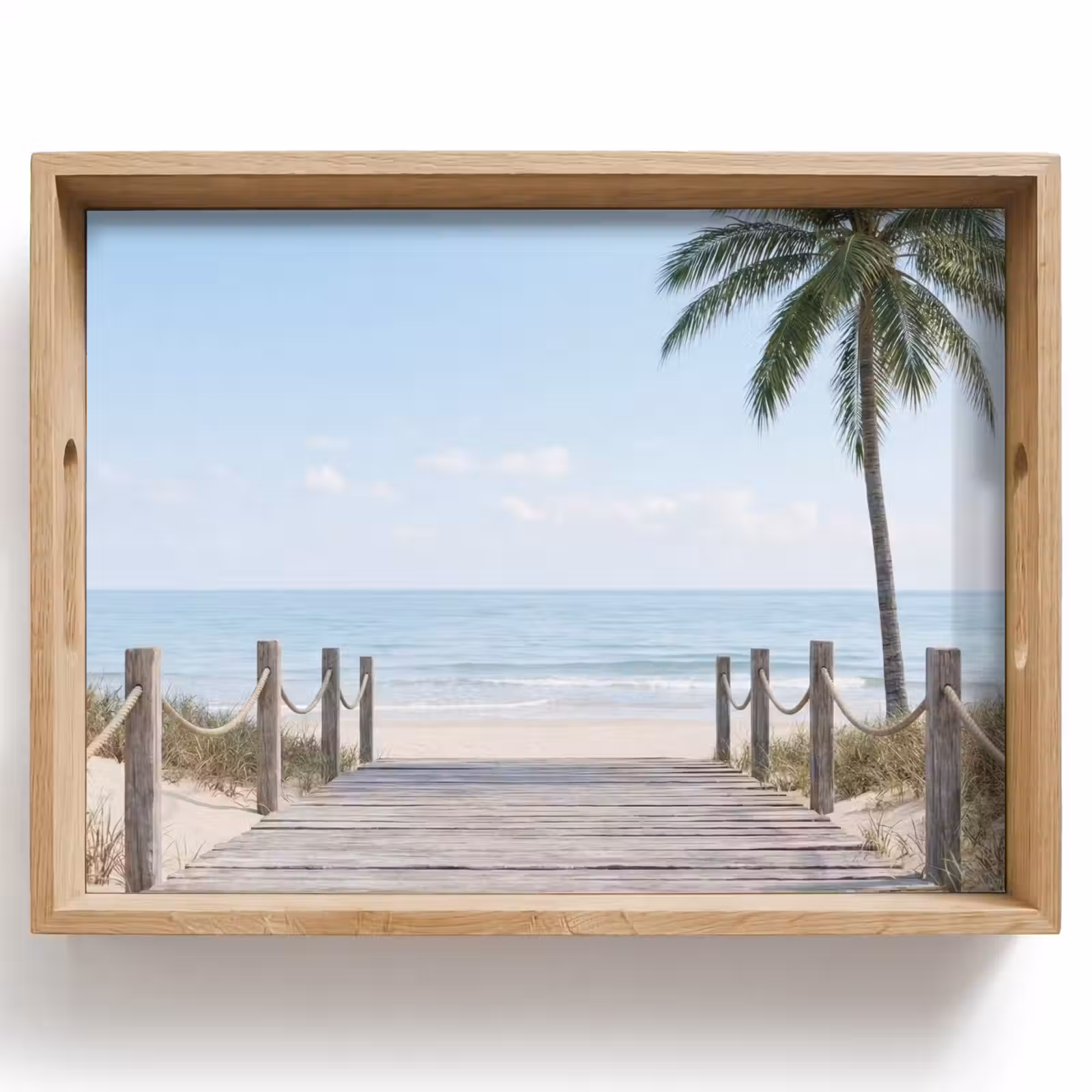 Tray - Palm trees - Path - Horizon — 1